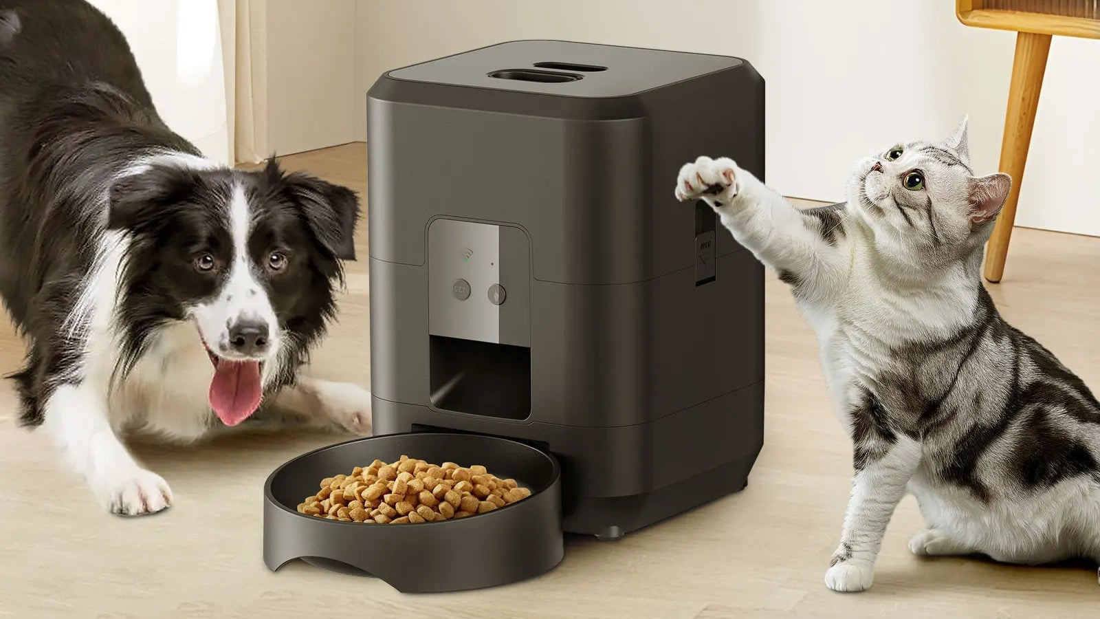 Comedero Automático Inteligente para Mascotas